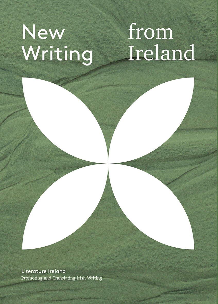 New Writing from Ireland 2025 edition