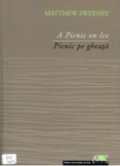 © University of Timosoara Press